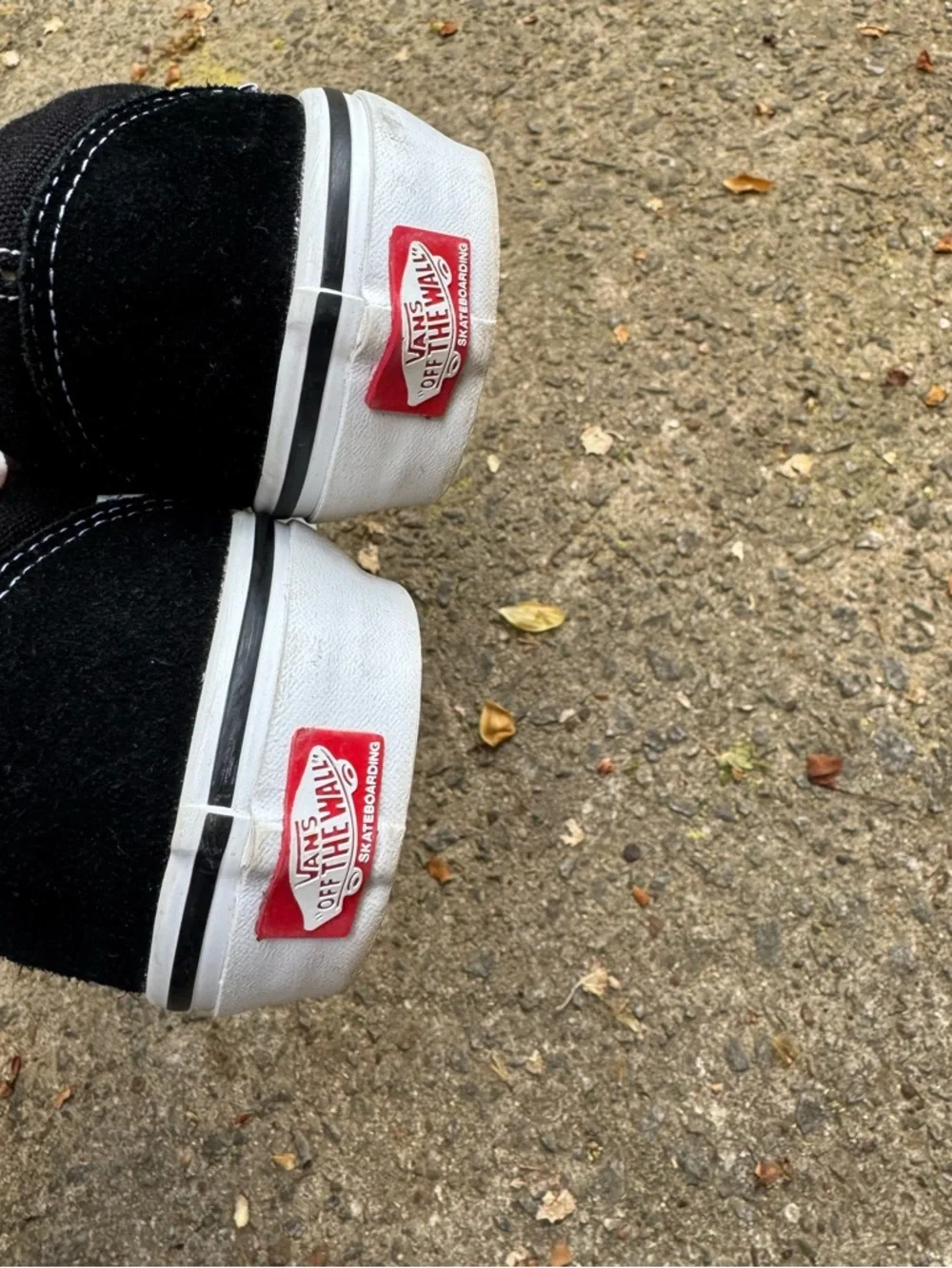 Vans Skate Old Skool Skate Shoe - Black - Picture 6 of 10